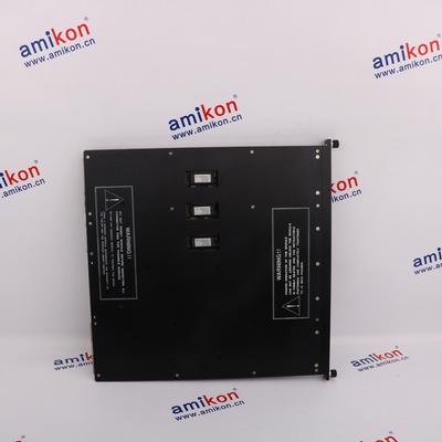 TRICONEX 3700A Distributed Control System (DCS)  | sales2@amikon.cn 